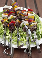 Stainless Steel BBQ Kebab Rack with 6 skewers